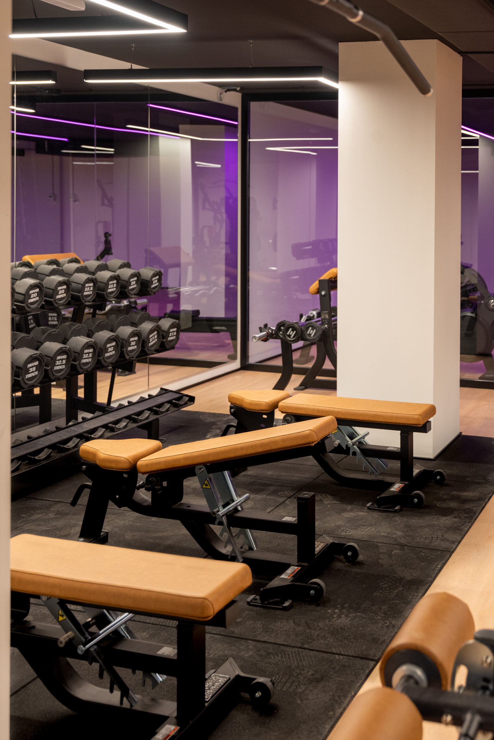 SALA DE FITNESS I CARDIO